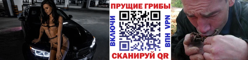 Купить закладки  Катав-Ивановск  Псилоцибиновые грибы Cubensis 